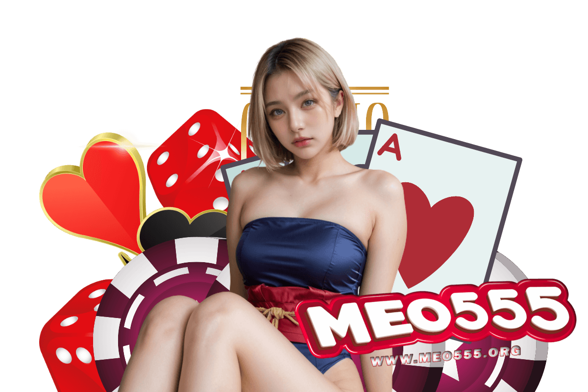 meo555 สล็อต